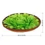 Tenmon Dog Feeding Mats Dog Sniffing Mats,Dog Training Mats,Nasal Blanket Pet Toy, Activity Fun Play Mat Relieve Stress and Irritability Tenmon Dog Feeding Mats Dog Sniffing Mats,Dog Training Mats,Nasal Blanket Pet Toy, Activity Fun Play Mat Relieve Stress and Irritability