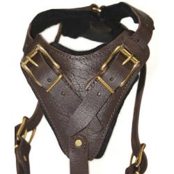 Dean and Tyler The Blade with Handle Brass Belt Style Buckles Leather Dog Harness, Brown, Large - Fits Girth Size: 31-Inch to 41-Inch