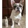 Warren London Hydrating Butter - Dog Leave in Conditioners & Balms for Skin, Coat, Nose, Paw - Made in USA Warren London Hydrating Butter - Dog Leave in Conditioners & Balms for Skin, Coat, Nose, Paw - Made in USA