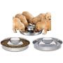King International Stainless Steel Dog Bowl 2 Puppy Litter Food Feeding Weaning|SilverStainless Dog Bowl Dish| Set of 2 Pieces | 29 cm - for Small/Medium/Large Dogs, Pets Feeder Bowl and Water Bowl