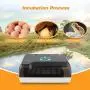 Homdox Digital Automatic Incubators, Hatching Egg Incubator 4-35 Eggs Incubator Machine with LED Display for Hatching Turkey Goose Quail Ducks Birds Pigeon Chicken Eggs Homdox Digital Automatic Incubators, Hatching Egg Incubator 4-35 Eggs Incubator Machine with LED Display for Hatching Turkey Goose Quail Ducks Birds Pigeon Chicken Eggs