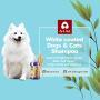 Arf Arf Anti ltch & Allay Irritation Oatmeal Dog Shampoo for Dry Itchy Skin - Natural Dog Shampoo for Smelly Dogs - Tearless Formula for Your Dogs Comfort | Made in Taiwan | (White Coated Pet Shampoo)