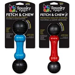 Spunky Pup Fetch and Chew Dog Toy Bone