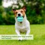 HIPPIH Dog Puzzle Toy 2 Pack, Interactive Dog Toys Ball for IQ Training, Durable and Non-Toxic Treat Dispensing Puppy Toy for Teeth Cleaning/Playing