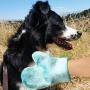 Hampton Direct Groomer Glove Pet Grooming Mitt - Plush and Soft, Helps Eliminate Odors, Loose Fur, Great for Bonding