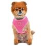 Pinkaholic New York Niki Harness - Purple - XS