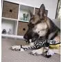 goDog Sugar Skulls Plush Dog Toys with Chew Guard Technology goDog Sugar Skulls Plush Dog Toys with Chew Guard Technology