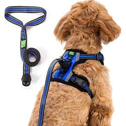 Easy Lock Dog Harness and Leash Set for Small Large Dogs Puppy Breed, Magnetic Clasp Reflective Vest with Training Leash One Hand Easily Connect