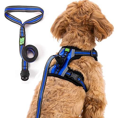 Easy Lock Dog Harness and Leash Set for Small Large Dogs Puppy Breed, Magnetic Clasp Reflective Vest with Training Leash One Hand Easily Connect