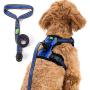 Easy Lock Dog Harness and Leash Set for Small Large Dogs Puppy Breed, Magnetic Clasp Reflective Vest with Training Leash One Hand Easily Connect