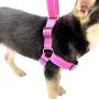 HIVVI Dog Harness No Pull, Solid Dog Leashes & Harness
