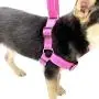 HIVVI Dog Harness No Pull, Solid Dog Leashes & Harness HIVVI Dog Harness No Pull, Solid Dog Leashes & Harness