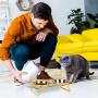 E-ROOM TREND Elevated Cat Bowls,Cute Metal Raised Pet Bowl for Cat and Small Dog Come with 2 Stainless Steel Cat Feeder Bowls Set for Food and Water with Anti Slip Feet