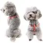 azuza No Pull Dog Harness, Basic Step in Puppy Harness, Adjustable Harness for Small and Medium Dogs with Cute Patterns in Bright Color azuza No Pull Dog Harness, Basic Step in Puppy Harness, Adjustable Harness for Small and Medium Dogs with Cute Patterns in Bright Color