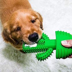 Dongdexiu Pets Products Pet Toothbrush Vocal Cleaning Teeth Molar Rod Dog Toy Supplies Small Animals Supplies