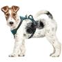 FUNFLOWERS Dog Harness No-Pull Adjustable Pet Vest Durable Polyester Material Dog Chest Strap with Reflective Strips Easy Control Training Harness for Small Medium Large Dog, 4 Colors