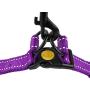 CollarDirect Reflective Dog Harness Step in Small Medium Large for Outdoor Walking, Comfort Adjustable Harnesses for Dogs Puppy Pink Black Red Purple Mint Green Orange Blue CollarDirect Reflective Dog Harness Step in Small Medium Large for Outdoor Walking, Comfort Adjustable Harnesses for Dogs Puppy Pink Black Red Purple Mint Green Orange Blue