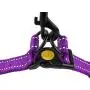 CollarDirect Reflective Dog Harness Step in Small Medium Large for Outdoor Walking, Comfort Adjustable Harnesses for Dogs Puppy Pink Black Red Purple Mint Green Orange Blue