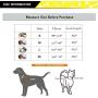 SENYE PET Cat Harness Escape Proof Small Cat and Dog Soft Mesh Vest Harnesses Adjustable Pet Harness with Leash Clip & Reflective Strap Cat Walking Jacket Comfort Fit for Kitten Puppy