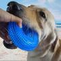 YYLI Dog Balls, Squeaky Dog Ball Toys for Heavy Chewers, Bouncy, Floating, Soft and Spikey Rubber Chew Balls for Tooth Cleaning,Dog Pet Chew Tooth Cleaning Ring Toy