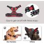 PHOEPET No Pull Dog Harness Medium Reflective Front Clip Vest with Handle,Adjustable 2 Metal Rings 3 Buckles[Easy to Put on & Take Off](M, Red)