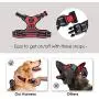 PHOEPET No Pull Dog Harness Medium Reflective Front Clip Vest with Handle,Adjustable 2 Metal Rings 3 Buckles[Easy to Put on & Take Off](M, Red)