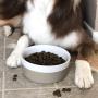 Waggo Dipper Ceramic Dog Bowl for Dog and Cat - Heavyweight and Durable Pet Food and Water Dish Crock (Large, Black)