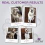 Lillian Ruff Brightening & Whitening Shampoo for Dogs – Tear Free Coconut Scent with Aloe for Dry & Sensitive Skin – Adds Shine & Luster to Coats