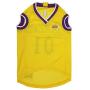 NBA PET Apparel. - Licensed Jerseys for Dogs & Cats Available in 25 Basketball Teams & 5 Sizes Cute pet Clothing for All Sports Fans. Best NBA Dog Gear