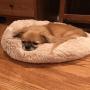 Donut Cat Bed, Faux Fur Washable Bed for Cats, Marshmellow Cat Dog Round Bed, Calming Self Warming Cuddler Cat Bed