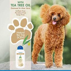 Four Paws Magic Coat Tea Tree Oil & Aloe Vera Natural Dog Shampoo with Oatmeal, 16 oz, Tree Tea Oil