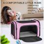 LI Zhi SHAI Pet Airline Travel Approved Airport Pet Carrier, Soft Sided Portable Folding Under Seat Air Travel Pet Carriers Bag for Small Animals