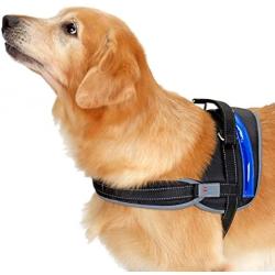 Pet Industries [Sale] Heavy Duty Reflective Dog Harness with Safety Features [Premium Edition] Available in 4 Sizes, Specially Designed for Medium-Large Dog Breeds