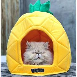 NANDOG Insta Fun Specialty Dog and Cat Bed Collection