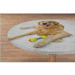 ThinkingPower Elasticized Tablecloth Pet Dog Laying Down with Toy Friendly Domestic Puppy Playful Companion Polyester tablecothes for Travel Christmas Picnics Parties Multicolor Diameter - 39 Inch