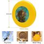 Pet Frisbee Flying Disc Dog Toy - Multifunction Lightninghead Frank Robert Dixon