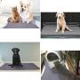 Pet Washable Pee Pads 2 Pack Waterproof Reusable Training Pads Super Absorbent Non-Slip for Dog Cat Guinea Pig Rabbit Playpen Housebreaking Indoor Potty Training Whelping Incontinence Travel