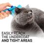 CleanHouse Pets Cat and Dog Hair Brush [Upgraded Version] New Balls on Bristles for Gentle & Effective Grooming. For All Pet Sizes! Eliminates Shedding, Keeping Your House Clean. Grooming Made Easy!