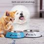 Jemirry Pet Food Bowl for Cats and Puppies, Stainless Steel Cat Bowl, Never Rust,Bowl for Small Dogs and Cats