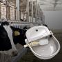 MUDUOBAN Stainless Steel Automatic Waterer Bowl Horse Cattle Goat Sheep Pig Dog Float Valve Water Trough Farm Supplies Livestocktool