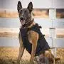 PETAC GEAR Tactical Dog Harness K9 Military Dog Training Harness Adjustable Police Service Dog Working MOLLE Vest for Large Medium Dogs