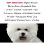 PRIDE AND GROOM - The Non Shedder, Bottle of Pet Shampoo, 16 oz.