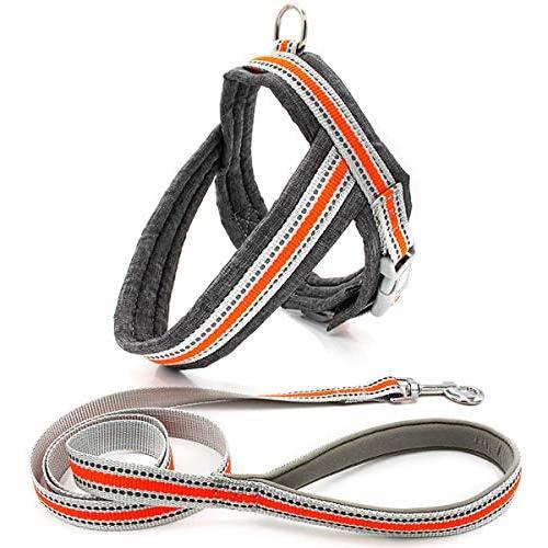 Musonic No Pull Dog Harness for Small Dogs Adjustable Reflective Lightweight Vest Harness Easy Fit and Escape Resistant for Outdoor Training and Walking, Leash Included