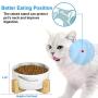 Jerock Ceramic Cat Dog Bowls Raised Food and Water Dish with Anti-Slip Wooden Stand Elevated Round Pet Feeding Bowl Dishwasher Safe & Easy to Clean