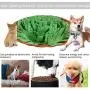 Ivalue Snuffle Mat Dogs Feeding Mat Nosework Smell Training Mat Pets Snuffle Bowl Treat Dispenser Puzzle Toy for Slow Eating Stress Release Adjustable Size Washable and Portable Ivalue Snuffle Mat Dogs Feeding Mat Nosework Smell Training Mat Pets Snuffle Bowl Treat Dispenser Puzzle Toy for Slow Eating Stress Release Adjustable Size Washable and Portable
