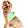 American River Dog Harness Ombre Collection - Rainbow XXL