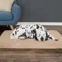 Orthopedic Pet Bed - Egg Crate and Memory Foam with Washable Cover Collection Orthopedic Pet Bed - Egg Crate and Memory Foam with Washable Cover Collection