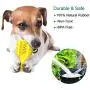 FULNEW Dog Toothbrush Chew Toys Suction Cup Dog Toy Dog Teeth Cleaning Toys Dog Brushing Cactus for Dental Care FULNEW Dog Toothbrush Chew Toys Suction Cup Dog Toy Dog Teeth Cleaning Toys Dog Brushing Cactus for Dental Care