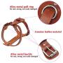 Beirui Genuine Leather Dog Harness Pet Training Walking Harness for Medium Large Dogs Pitbull Boxer Mastiff