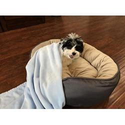 Higher Comfort Super Soft Premium Pet Blankets for Small Dogs, Puppies, Cats & Kittens - 30'' x 40'' - Great for Pet Beds and Carriers